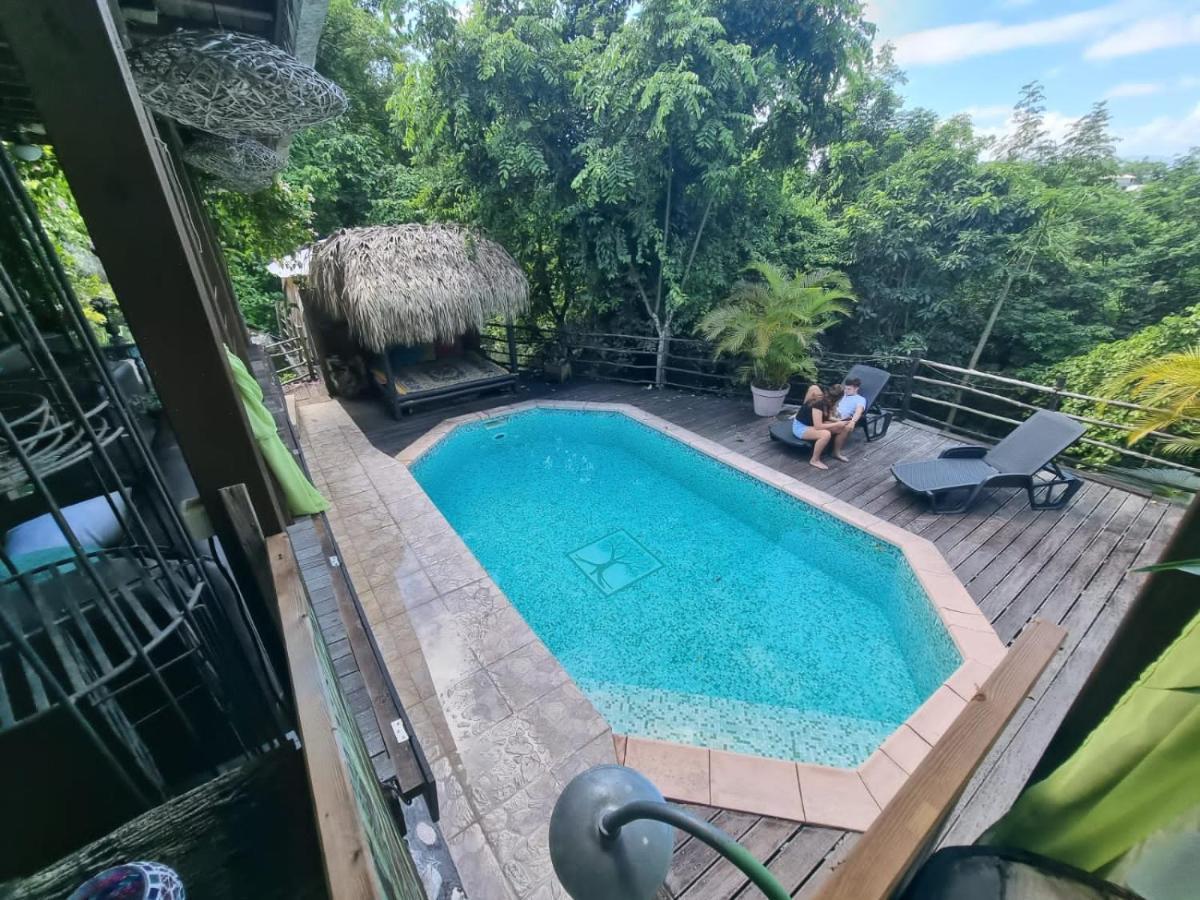 Racoon Lodge Pointe-à-Pitre Exterior foto